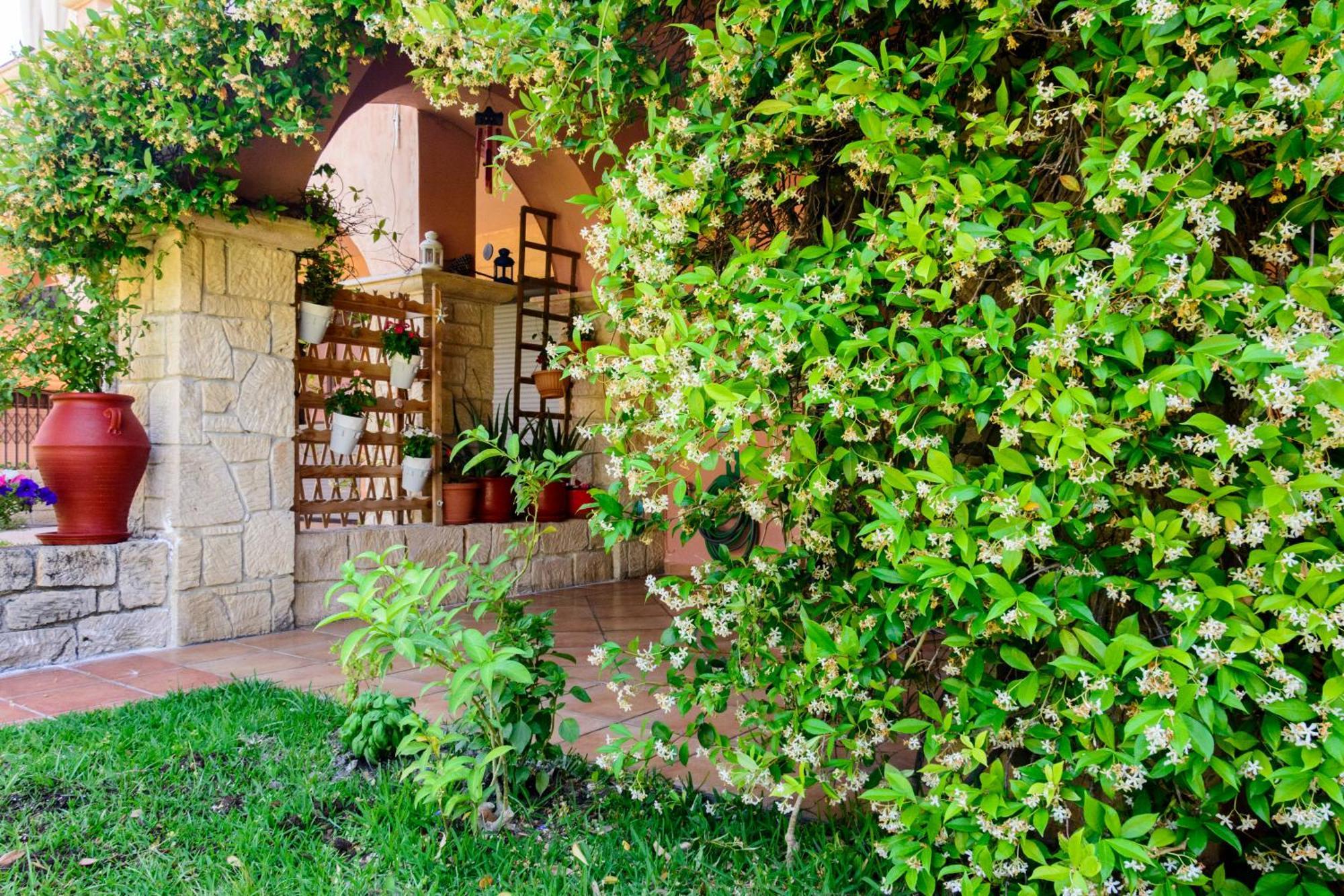La Luna House Pefkochori Zewnętrze zdjęcie